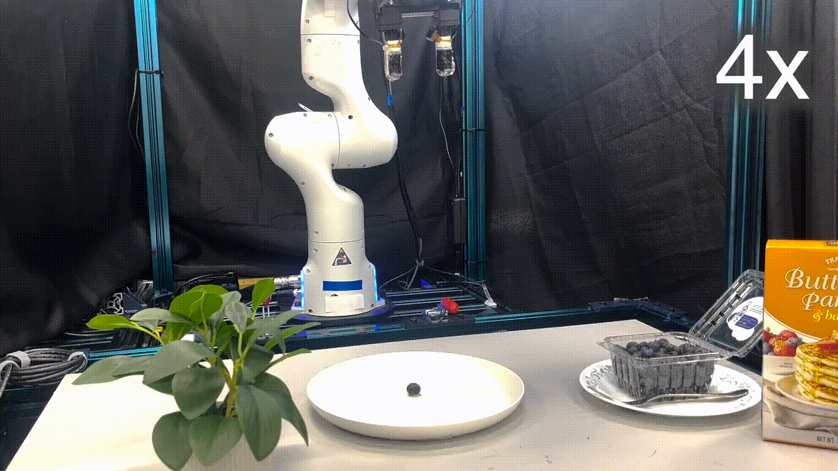 DexSkin project preview